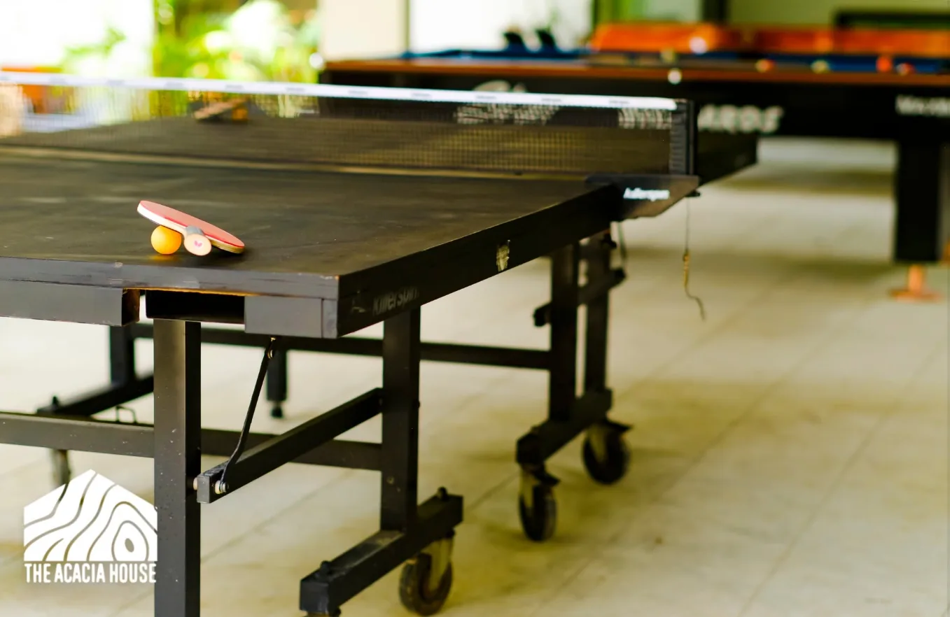 Table tennis table with a paddle and ball